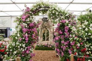 Lincolnshire-based Bells Horticultural invests in world-leading rose brand