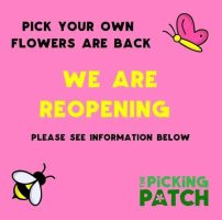 Pick you own flowers near Grantham returns